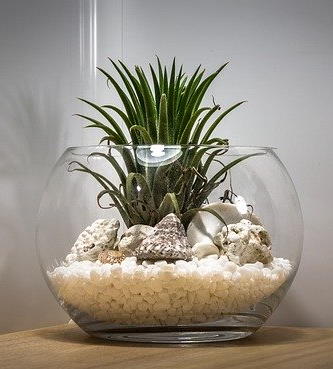 Terrarium container