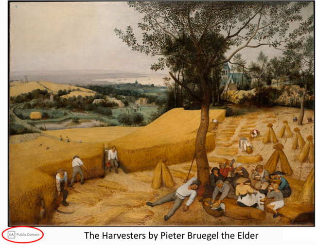The Harvesters by Pieter Bruegel