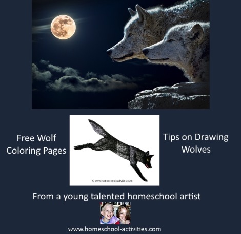 tips on drawing wolves