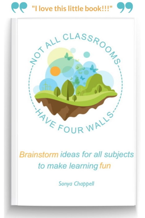 Homeschooling ideas book