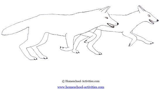 wolf coloring page