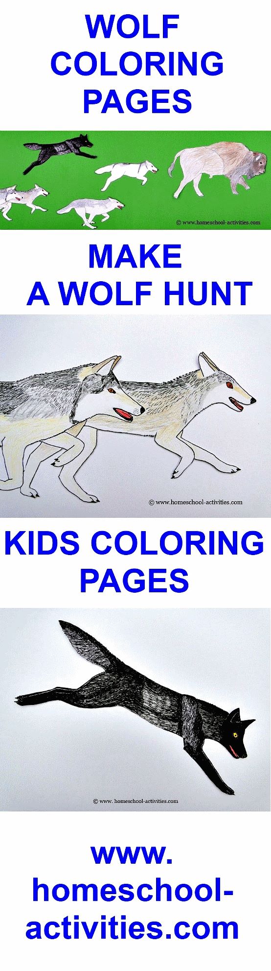 wolf coloring pages