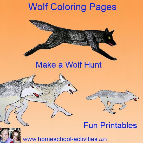 kids wolf coloring pages